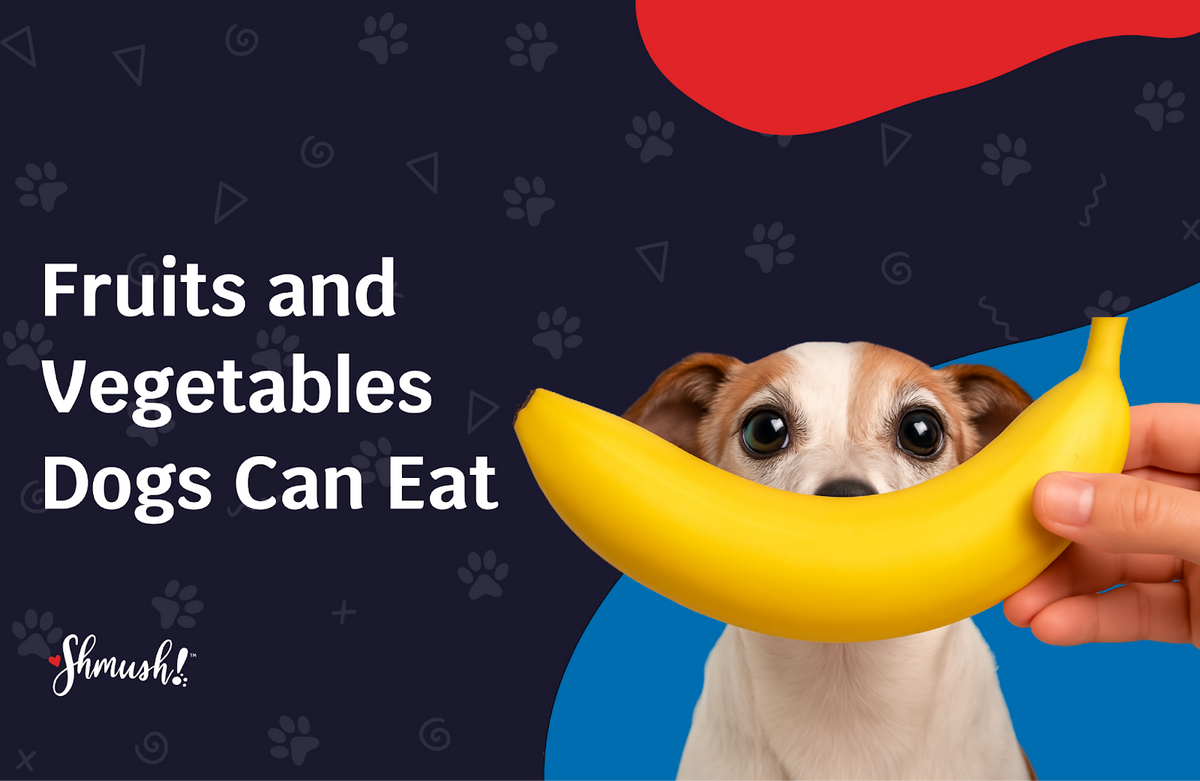 can dogs have bananas