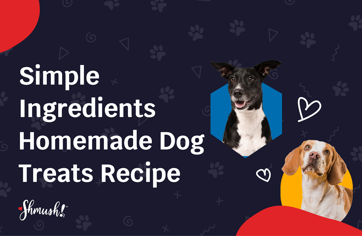 homemade dog treats