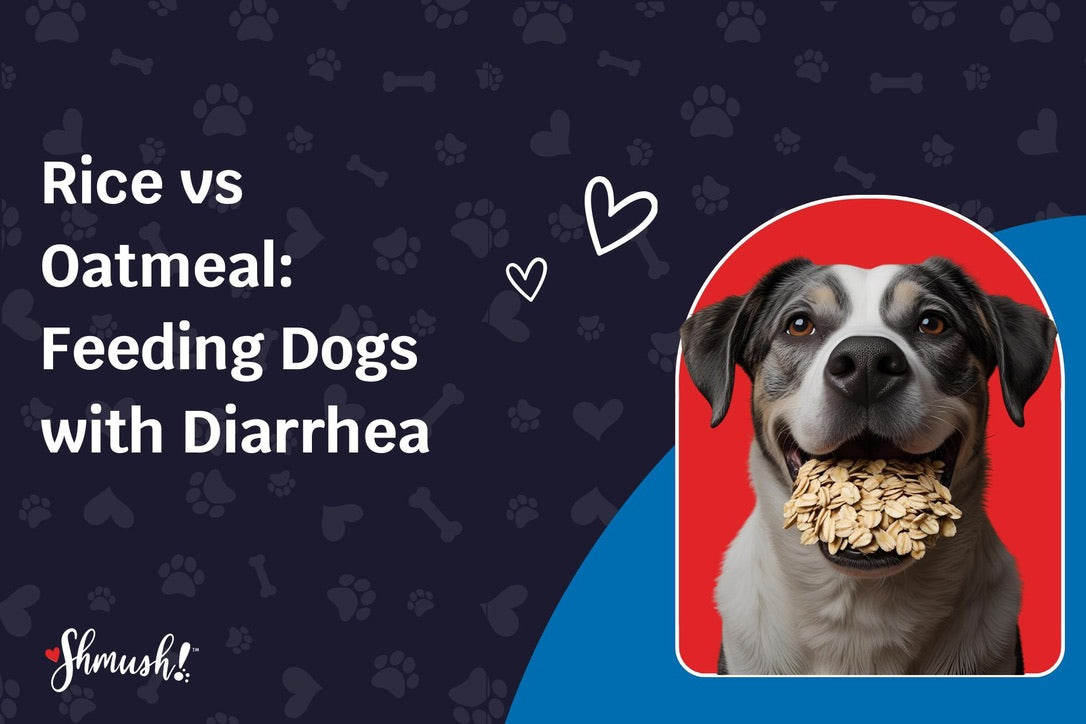 Rice vs Oatmeal: Feeding Dogs with Diarrhea – Shmush! Pets - Bananas And Rice For Dog Diarrhea In Dogs