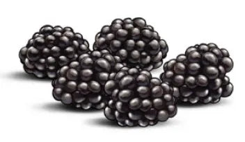 Blackberries