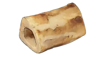 Bone Broth