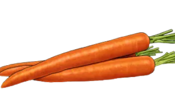 Carrots