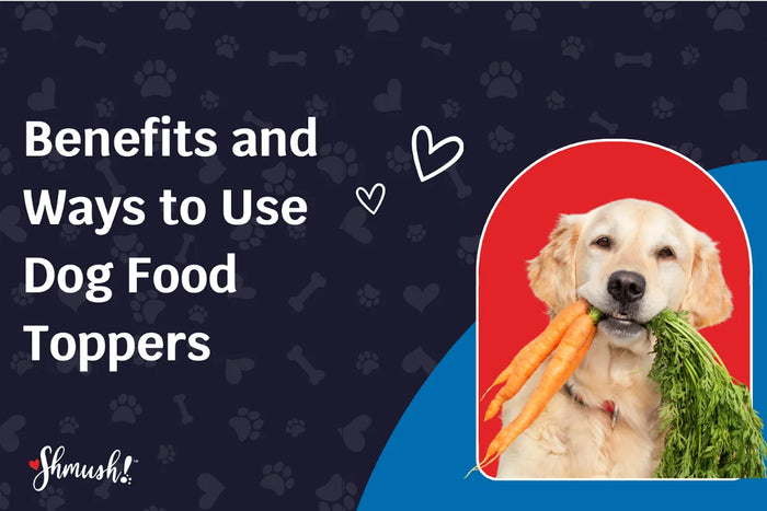 Benefits and Ways to Use Dog Food Toppers