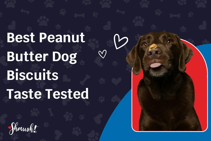 Best Peanut Butter Dog Biscuits Taste Tested