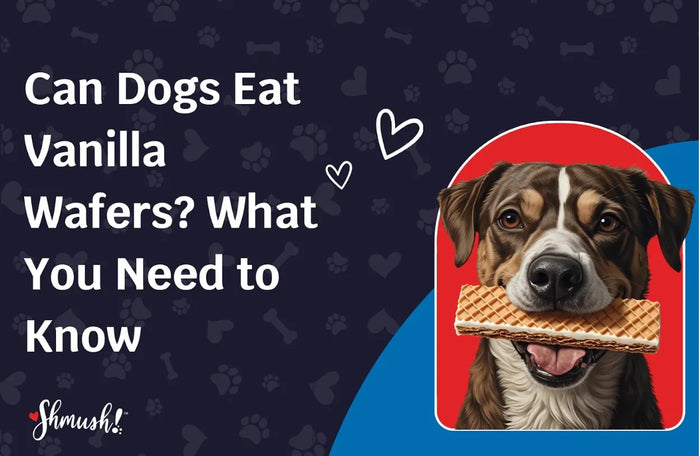 Can Dogs Eat Vanilla Wafers? What You Need to Know