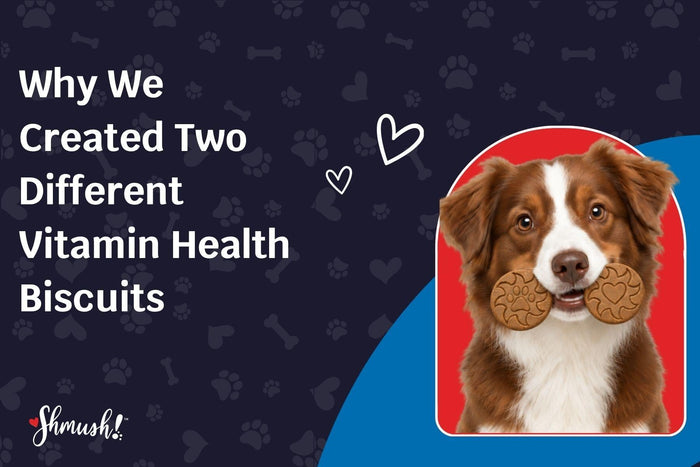 Why We Created Two Different Vitamin Health Biscuits