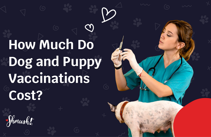 how much are puppy shots