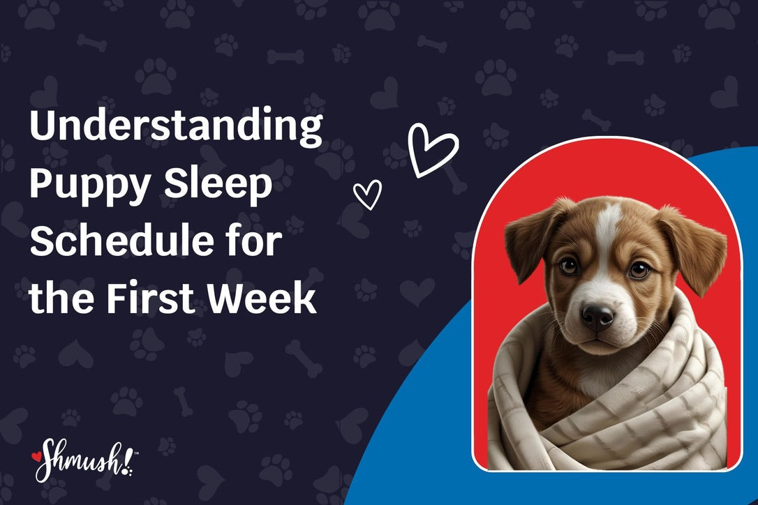 Understanding Puppy Sleep Schedule for the First Week
