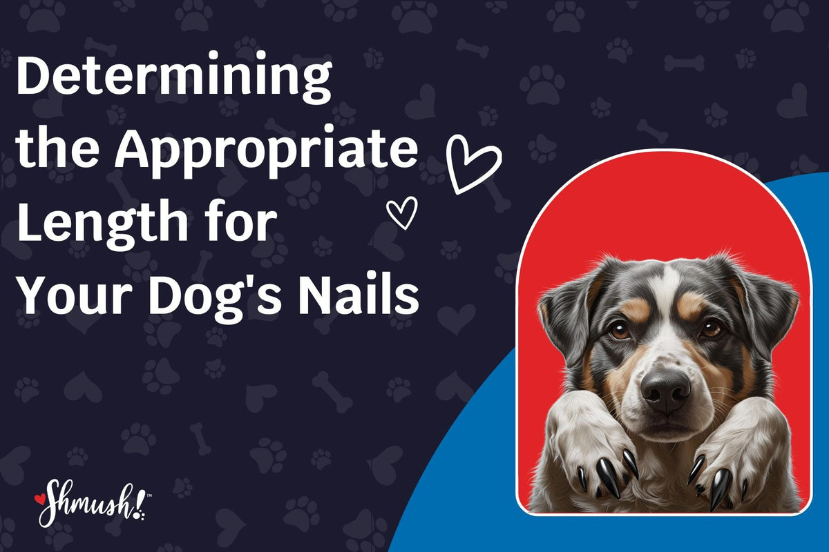 Determining the Appropriate Length for Your Dog's Nails