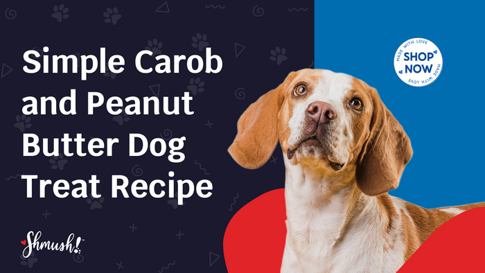 Simple Carob and Peanut Butter Dog Treat Recipe