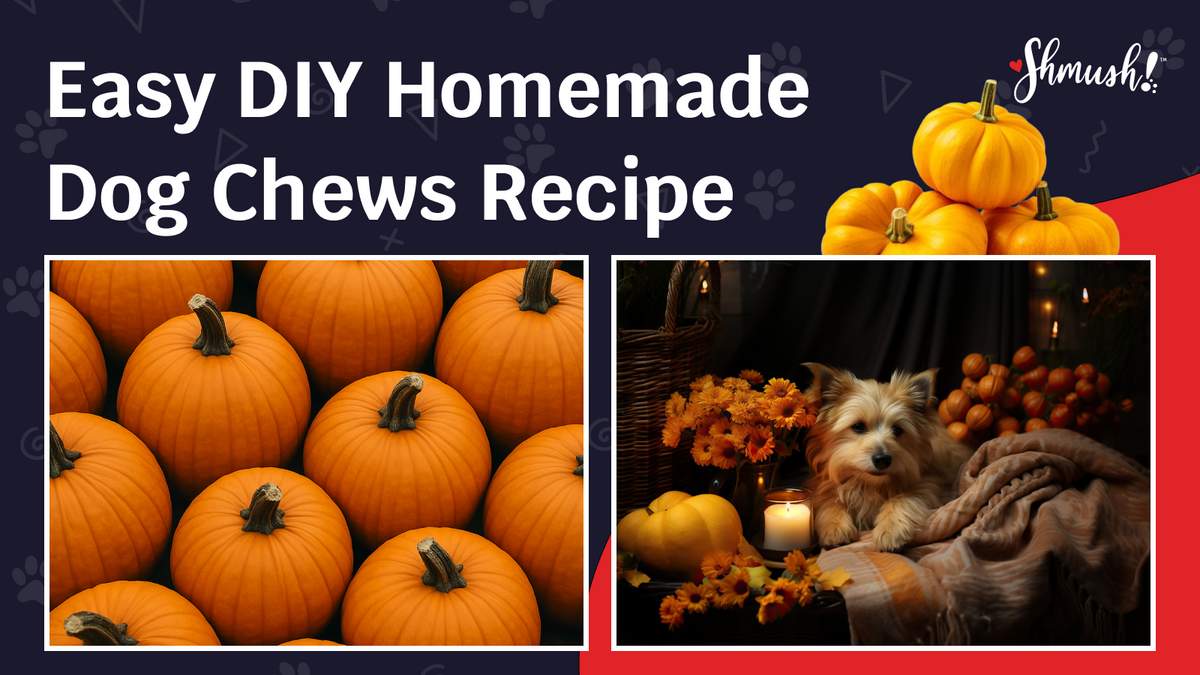 Pumpkin Benefits for Dogs: Safety and Feeding Tips