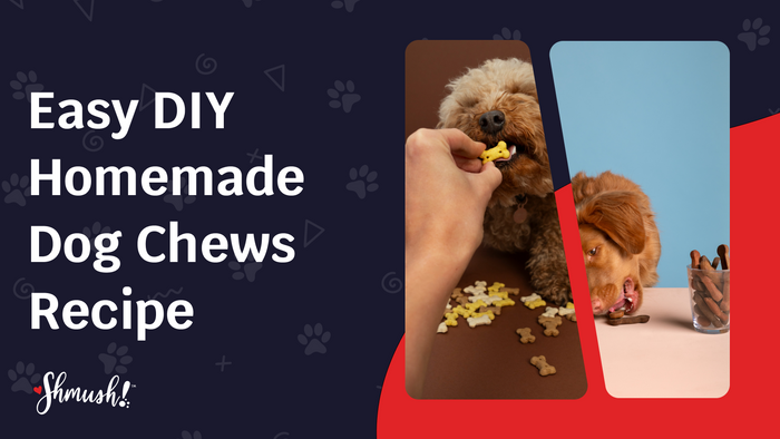 Easy DIY Homemade Dog Chews Recipe