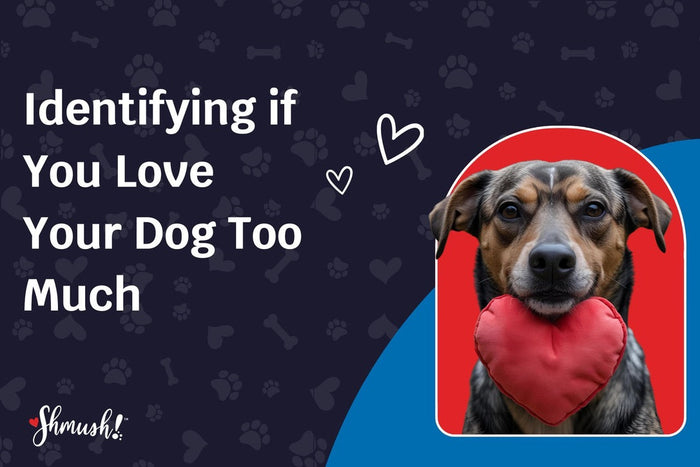 Identifying if You Love Your Dog Too Much