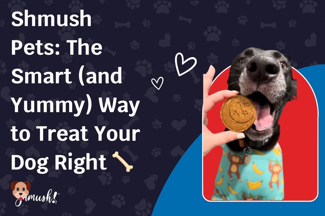 Shmush Pets: The Smart (and Yummy) Way to Treat Your Dog Right 🦴🐶