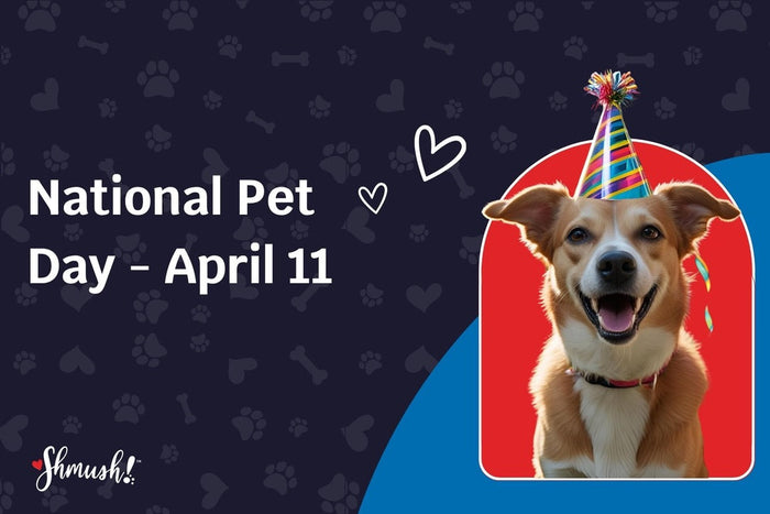 National Pet Day - April 11