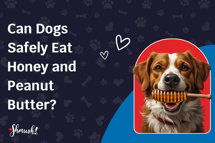 Can Dogs Safely Eat Honey and Peanut Butter?