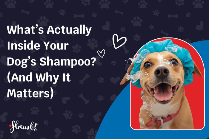 What’s Actually Inside Your Dog’s Shampoo? (And Why It Matters)