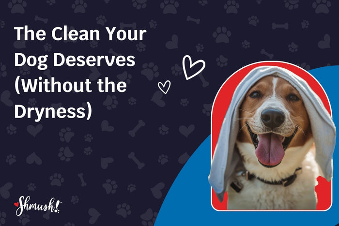 The Clean Your Dog Deserves (Without the Dryness)