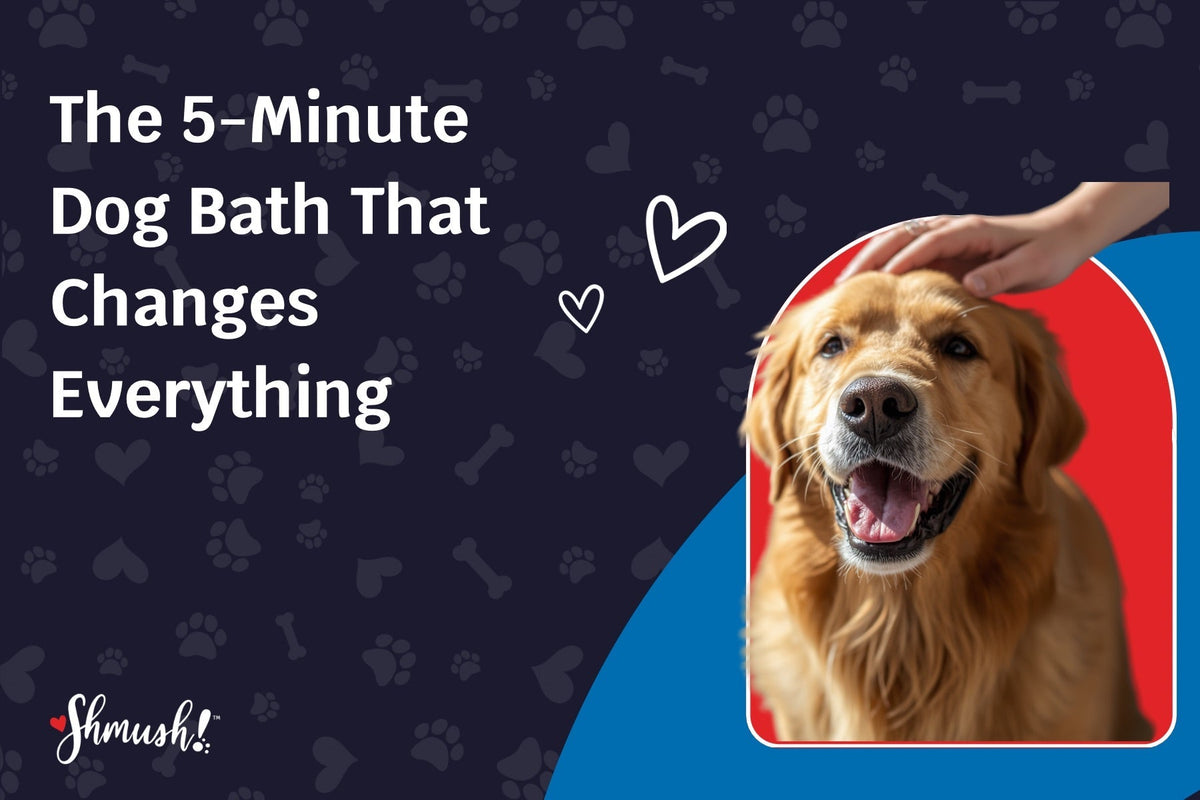The 5-Minute Dog Bath That Changes Everything